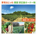 【ふるさと納税】夢見るじっち 農園 貸区画オーナー権(3坪・1年間)貸し農園 自家栽培・収穫体験・農業体験 数量限定(FJ-19)