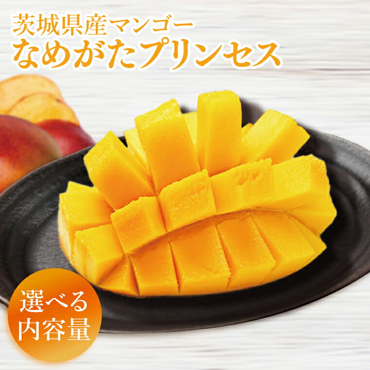 [選べるサイズと内容量][2026年6月下旬より順次発送]★数量限定★マンゴー なめがたプリンセス |マンゴー フルーツ 果物 くだもの 数量限定 先行予約 茨城県 行方市(EJ-9)