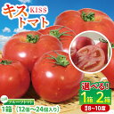 【ふるさと納税】【選べる内容量】【2026年2月より順次発送】★フルーツトマト★KISSトマト|トマト とまと フルーツ フルーツトマト KISSトマト 先行予約 茨城県 行方市(AC-1)