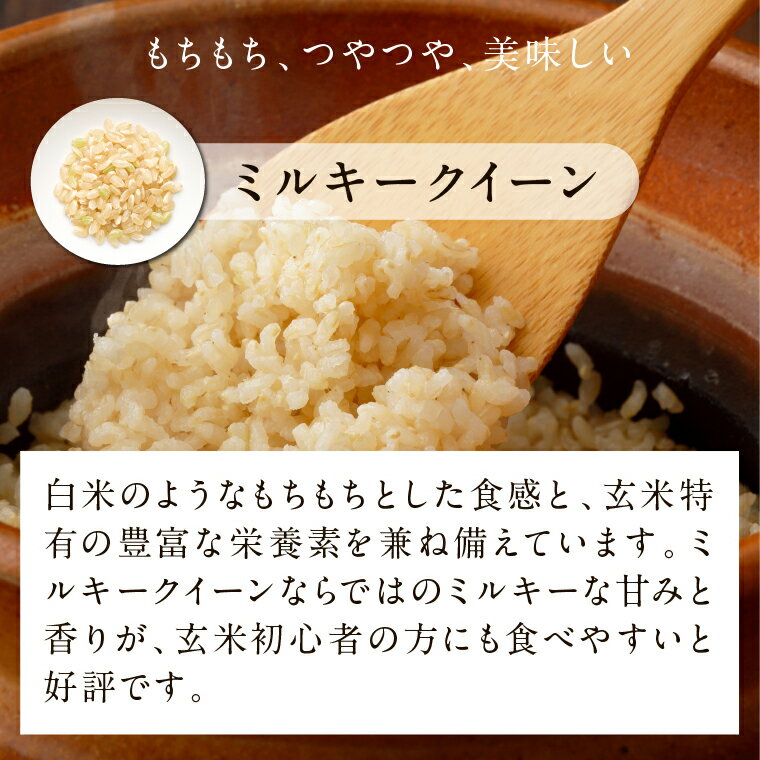 【ふるさと納税】【2025年11月下旬より順次発送】★最短3営業日で発送★ミルキークイーン パックごはん 玄米 18食入り 甘み豊かもちぷち｜米 お米 こめ パックごはん パックご飯 ミルキークイーン 玄米 ごはん 安心 国産 スピード発送 茨城県 行方市(HE-3)