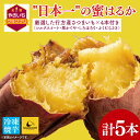 【ふるさと納税】【2025年3月下旬より順次発送】【Satsumaimo365】【さつまいも博/全国やきいもグランプリ 3度の日本一】【全国やきいもグランプリ チャンピオン】【数量限定】“日本一"の蜜はるか 1本 +厳選した行方産さつまいも 4本(YA-2)