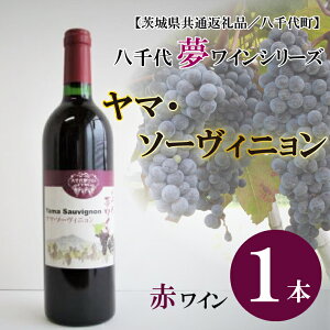 【ふるさと納税】【茨城県共通返礼品/八千代町】八千代夢ワインシリーズ ヤマ・ソーヴィニョン(赤ワイン)1本|EC-10