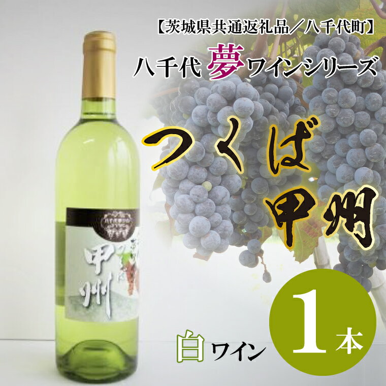 [茨城県共通返礼品/八千代町]八千代夢ワインシリーズ つくば甲州(白ワイン)1本|EC-12