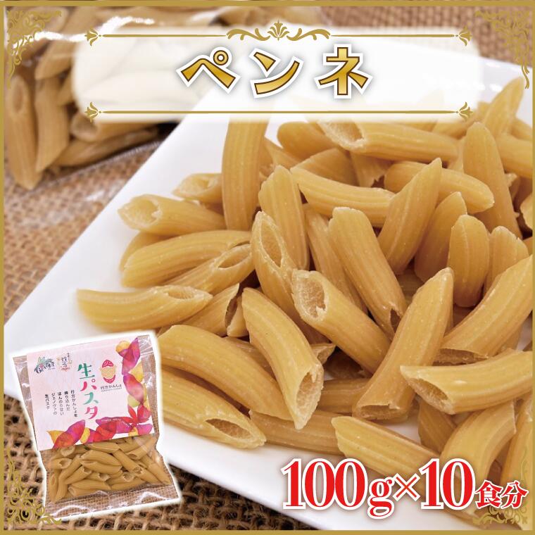 81位! 口コミ数「0件」評価「0」生パスタ （ペンネ10食分）｜CJ-12