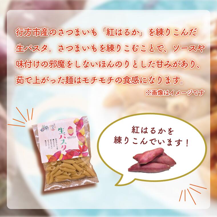 【ふるさと納税】生パスタ （ペンネ10食分）｜CJ-12