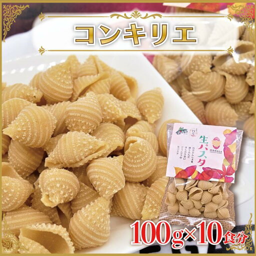 【ふるさと納税】生パスタ (コンキリエ10食分)|CJ-14 【ふるさと納税】生パスタ (コンキリエ10食分)|CJ-14