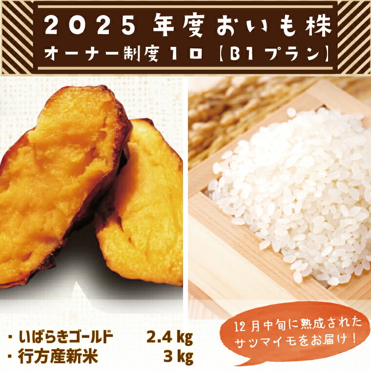 【ふるさと納税】【早割B1プラン】2025年度おいも株オーナー制度　1口(CQ-6-1)のサムネイル