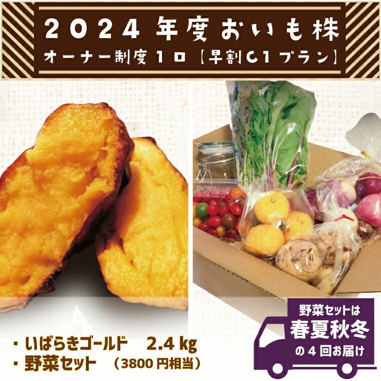 【ふるさと納税】【早割C1プラン】2024年度おいも株オーナー制度　1口｜CQ-10-1のサムネイル