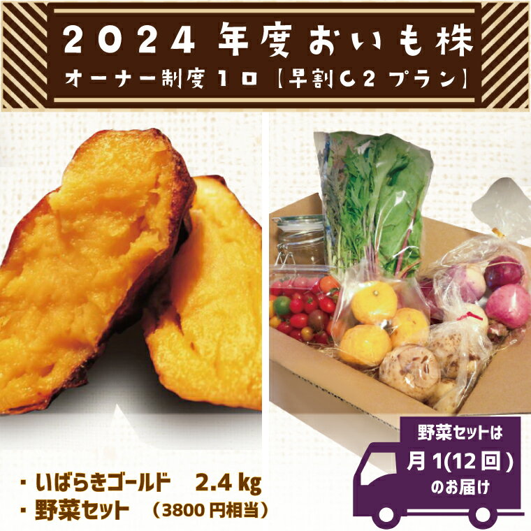 【ふるさと納税】【早割C2プラン】2024年度おいも株オーナー制度　1口｜CQ-11-1のサムネイル