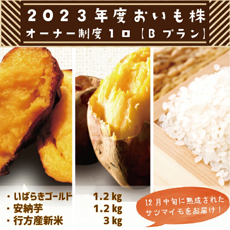 【ふるさと納税】【Bプラン】2023年度おいも株オーナー制度　1口　｜CQ-9のサムネイル