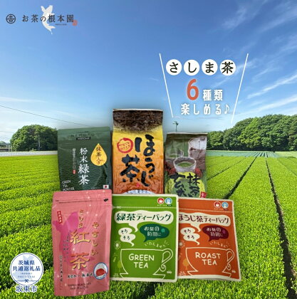 お茶の根本園 さしま茶6種飲み比べセット（茨城県共通返礼品・坂東市産）