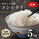 【ふるさと納税】やさしいお米 こしひかり5kg(白米)
