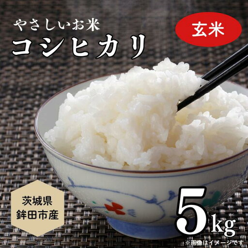 【ふるさと納税】やさしいお米 こしひかり5kg(玄米) 【ふるさと納税】やさしいお米 こしひかり5kg(玄米)