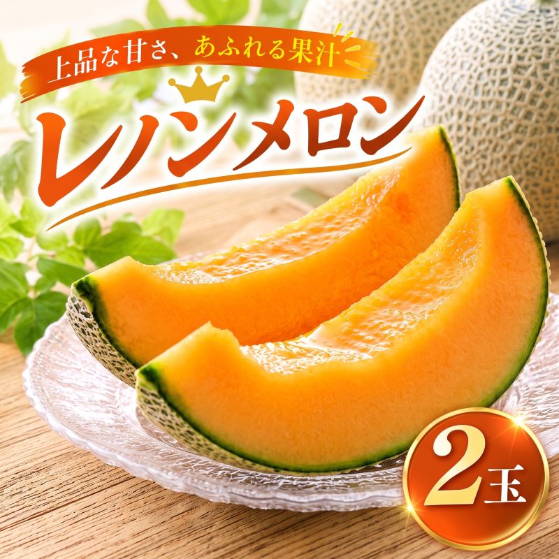 [2027年先行予約] メロン レノンメロン 2玉 赤肉 産地直送 meron melon 2個 定番 ギフト プレゼント 贈答 国産 フルーツ 果物 茨城 鉾田 株式会社長右衛門ファーム