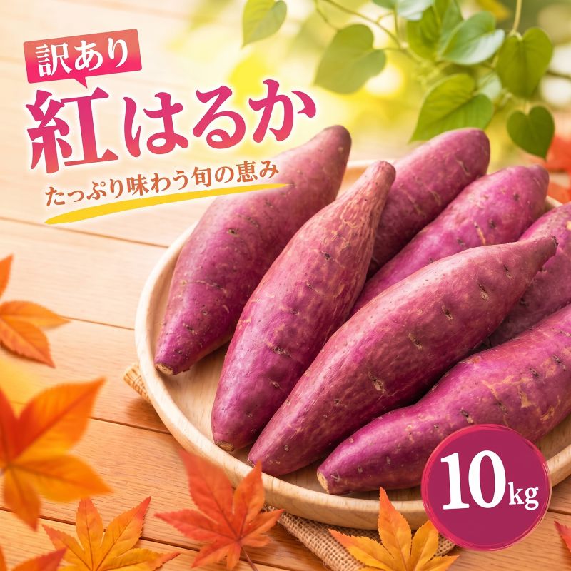 【ふるさと納税】 さつまいも 紅はるか 訳あり 約 10kg 芋 いも サツマイモ 生芋 甘藷 訳アリ 不揃い 土付き 無選別 ワケアリ 焼き芋 野菜 旬 国産 茨城県 鉾田市 株式会社長右衛門ファーム