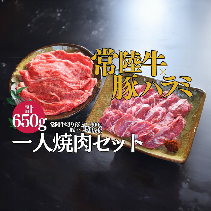 【超堪能！】常陸牛（300g）×豚ハラミ（350g）　一人焼肉セット