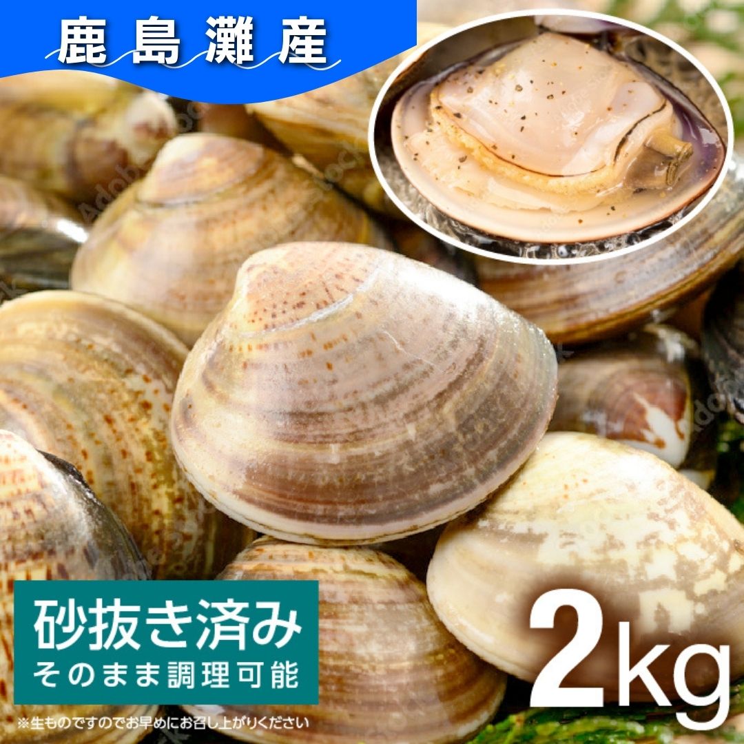 【ふるさと納税】 手間なく美味しい大玉 《鹿島灘産はまぐり》 （2kg殻付き）