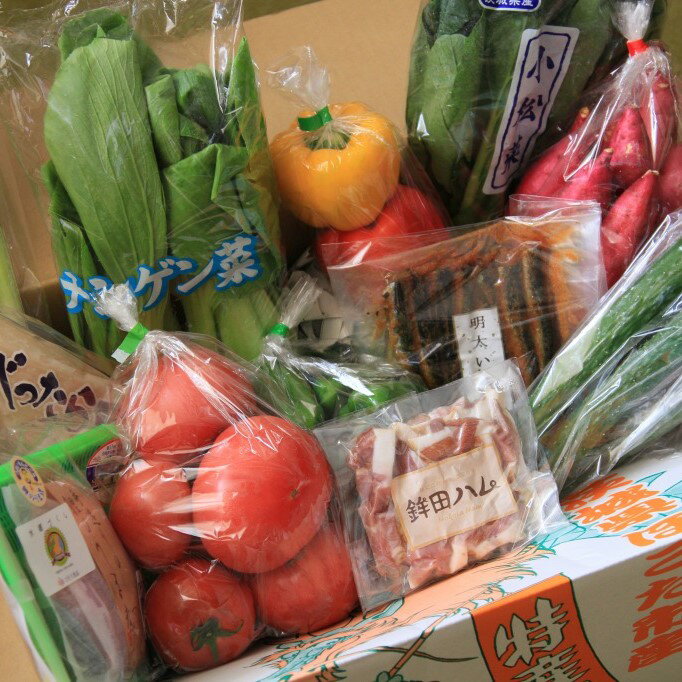 【ふるさと納税】旬を産地直送「さんて四季オリジナル野菜・加工品セット」届くまでのお楽しみ♪《1箱×年12回発送》