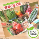 【ふるさと納税】6ヶ月定期便／旬を産地直送「旬菜館オリジナル