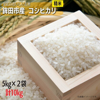 安定のおいしさ　鉾田市産コシヒカリ　精米　計10kg（5kg×2）