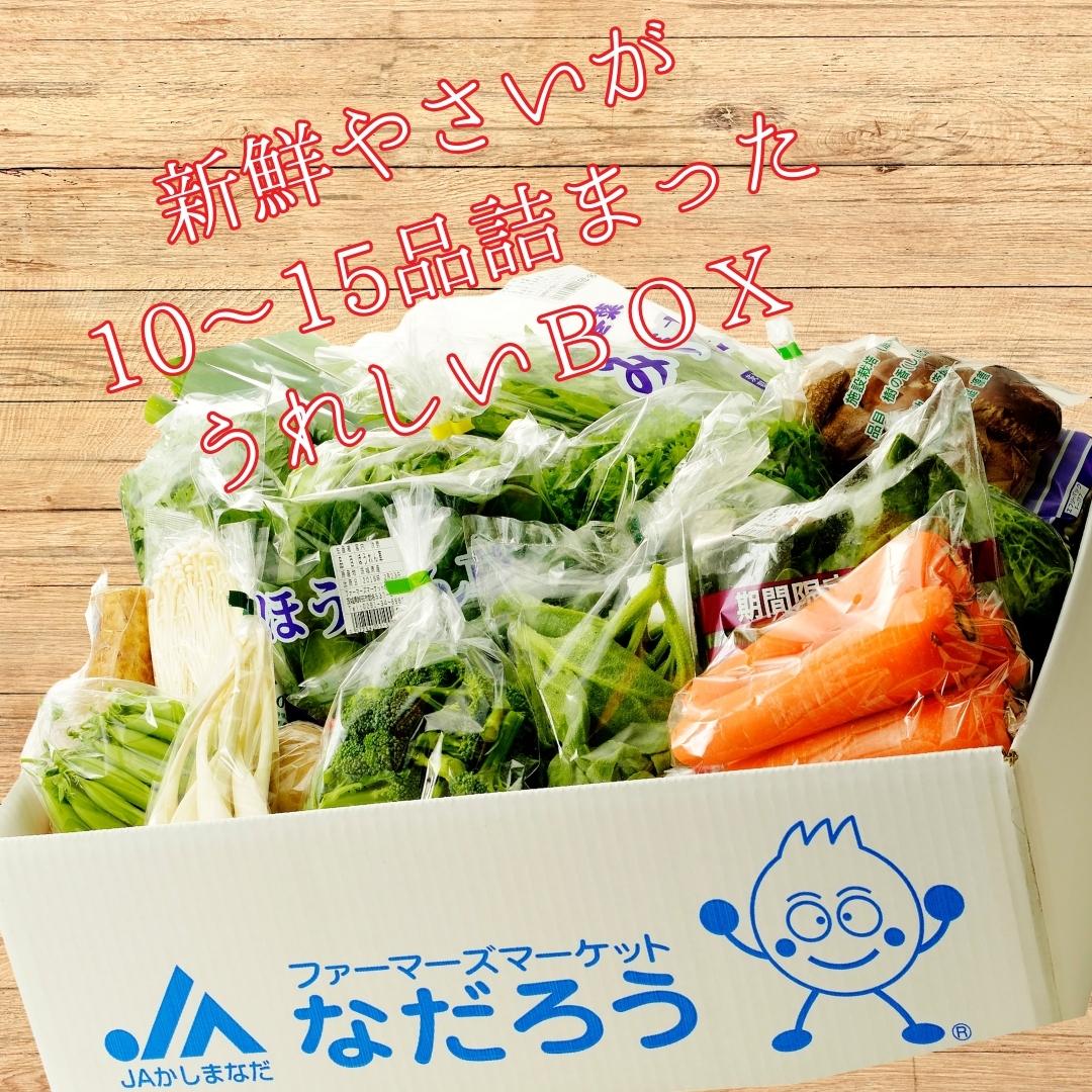 【ふるさと納税】【選べる発送月】直売所・JAほこた なだろう「鉾田市産野菜の詰合わせセット」（10～15品×1箱）