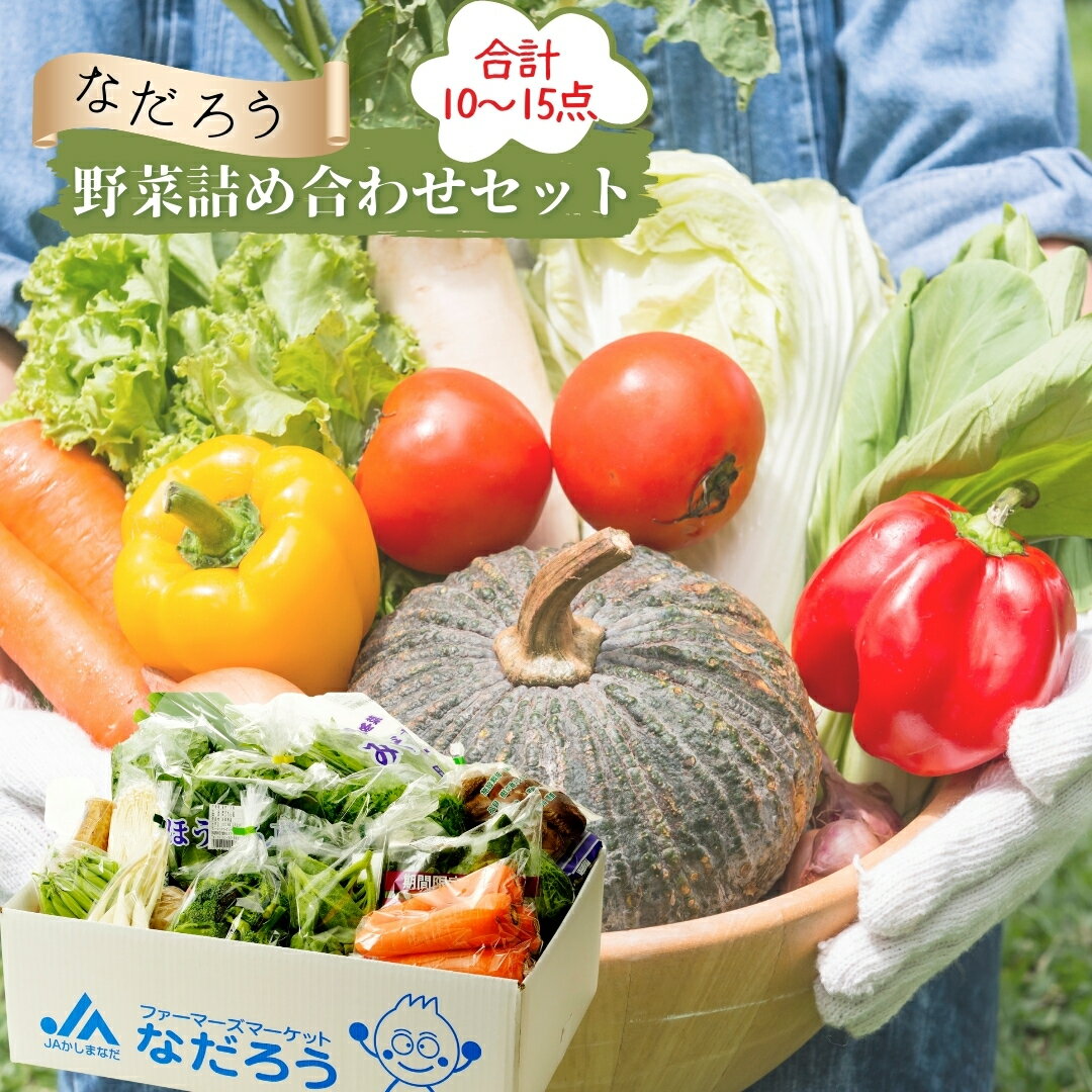 【ふるさと納税】【選べる発送月】直売所・JAほこた なだろう「鉾田市産野菜の詰合わせセット」（10～...