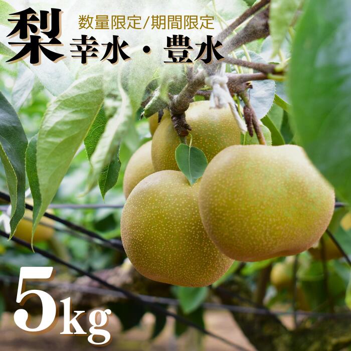 梨(豊水or幸水)5kg×1箱