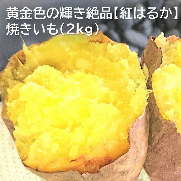 【ふるさと納税】黄金色の輝き絶品【紅はるか】焼きいも（2kg）　送料無料　やきいも　焼き芋　茨城県　鉾田市産のサムネイル