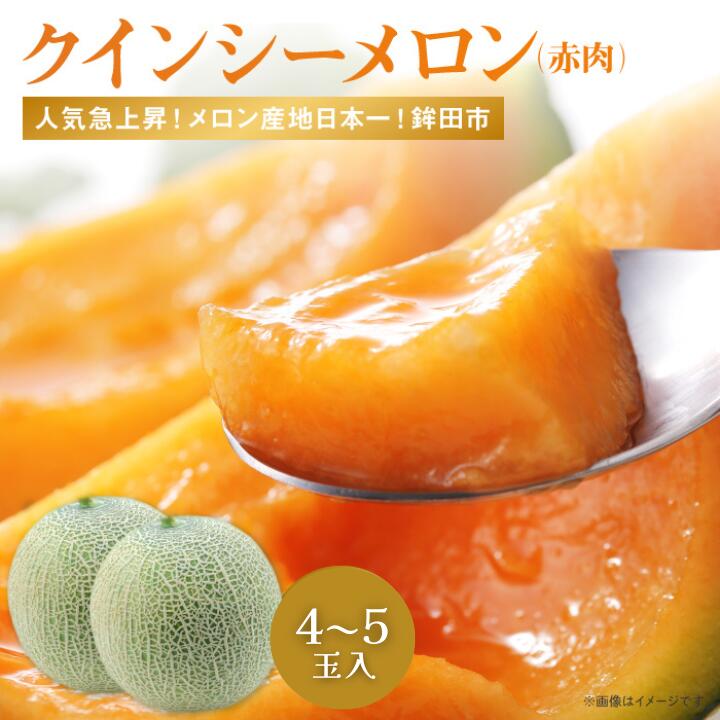 【ふるさと納税】あまくてヘルシー！赤肉系「クインシーメロン」（4～5個入）のサムネイル