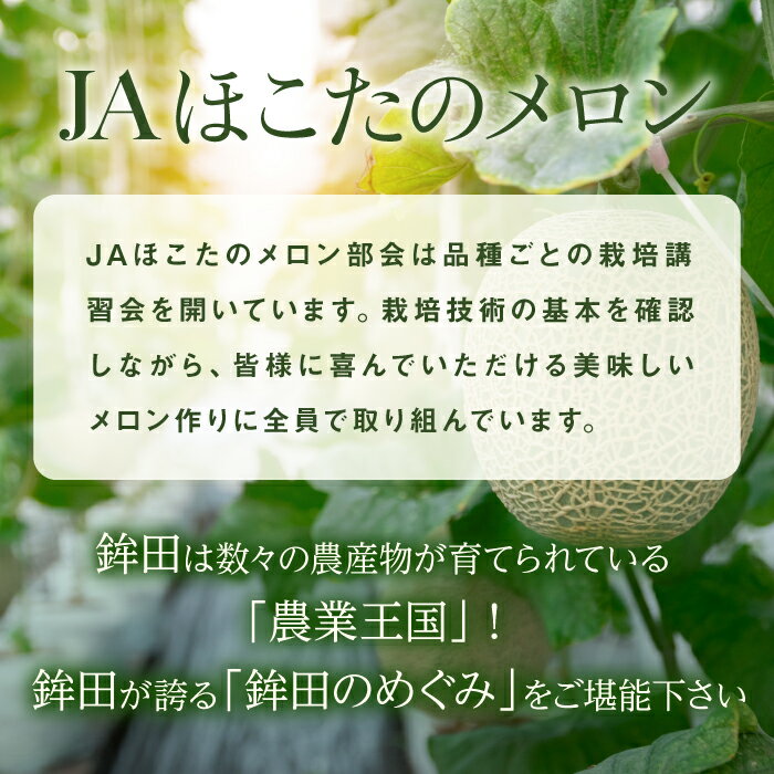 【ふるさと納税】メロン めろん クインシーメロン 2玉 おすすめ 人気 国産 赤 茨城 鉾田 JAほこた なだろう フルーツ 旬 大きい プレゼント 贈り物 甘い 産地直送 5月～6月発送