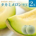 【ふるさと納税】メロン 生産量日本一 めろん 中玉 タカミメロン 緑肉 2玉 3kg〜5kg ギフト 鉾田 果物 人気 おすすめ 贈答 茨城 お返し 先行予約 ...