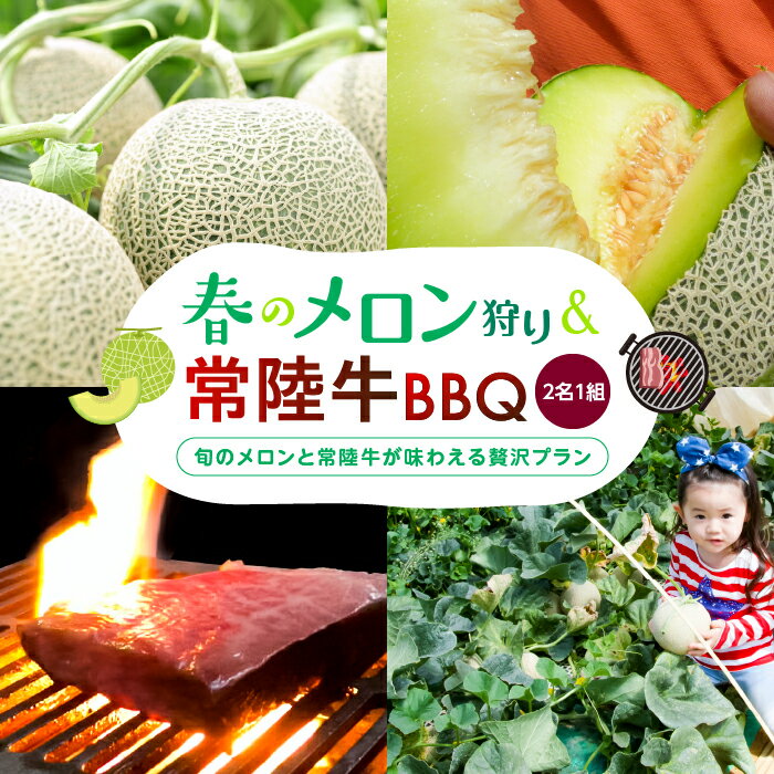 楽天茨城県鉾田市【ふるさと納税】 春のメロン狩り＆常陸牛BBQ　Twin（2名1組）