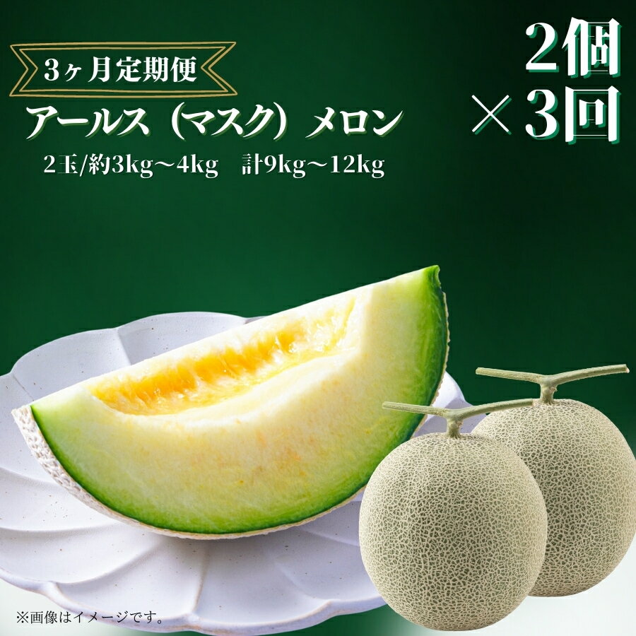 【ふるさと納税】【3ヶ月定期便】 メロン めろん アールスメロン(マスクメロン) 2個入り(約3kg~4kg)×3回 おすすめ 人気 国産 青肉 産地直送 茨城 鉾田 フルーツ 旬 大きい プレゼント 贈り物 旬 定番 果物 くだもの 甘い メロンの森 フォレストパーク