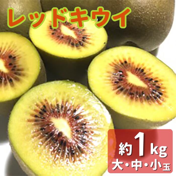 18位! 口コミ数「0件」評価「0」レッドキウイ（大・中・小玉）　約1kg　9～15個前後