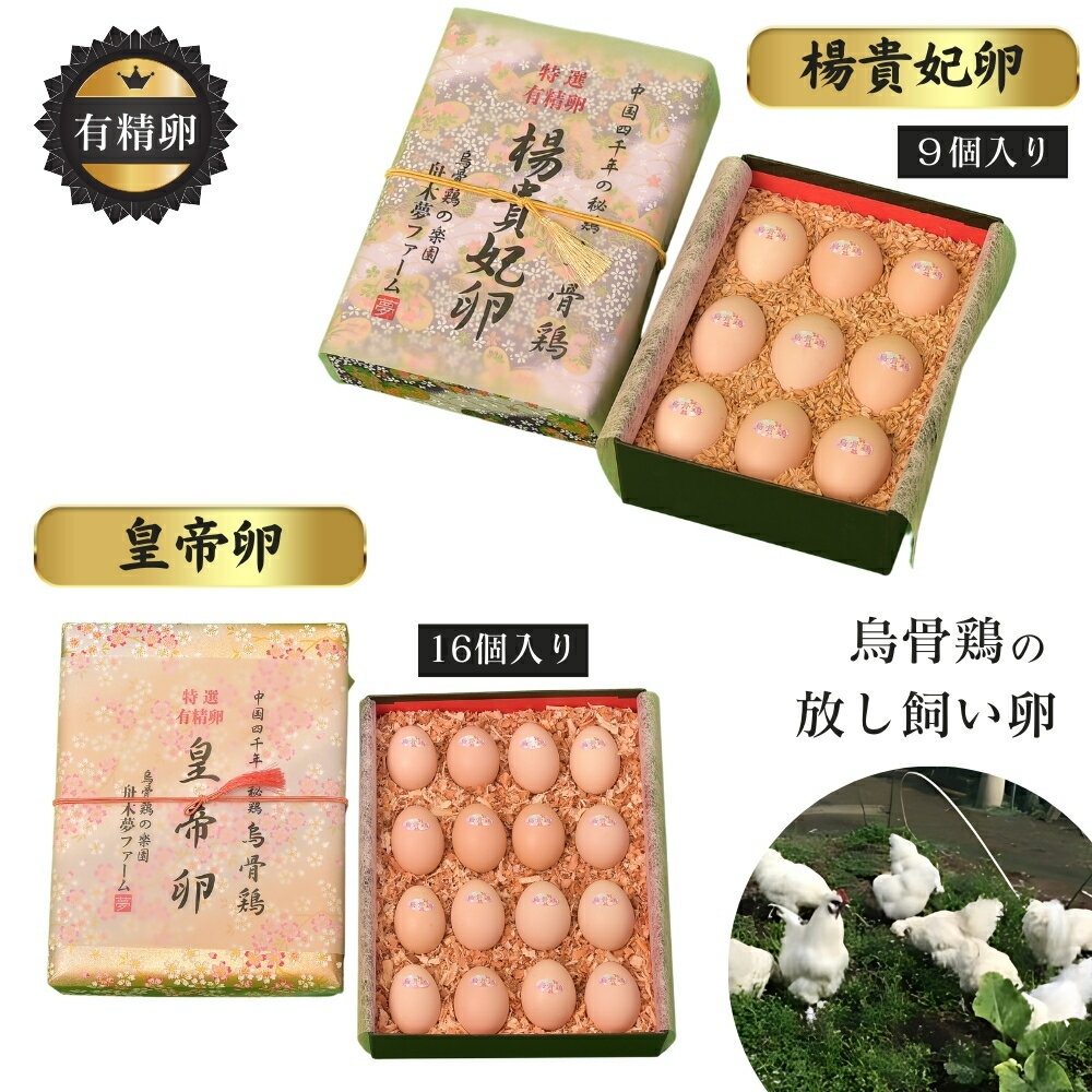 【ふるさと納税】特選 有精卵 烏骨鶏のたまご 9個セット 16個セット 烏骨鶏の卵 烏骨鶏の玉子 烏骨鶏 うこっけい 放し飼い卵 平飼い卵 贈答用 ギフト