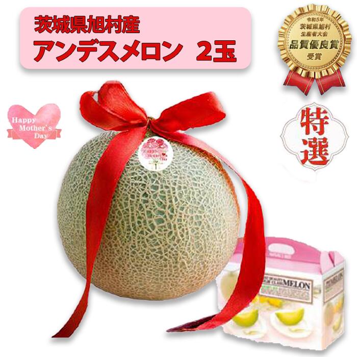 【ふるさと納税】【母の日用ラッピング付】【特秀】アンデスメロン 2玉(2.5kg)茨城旭エメラルド
