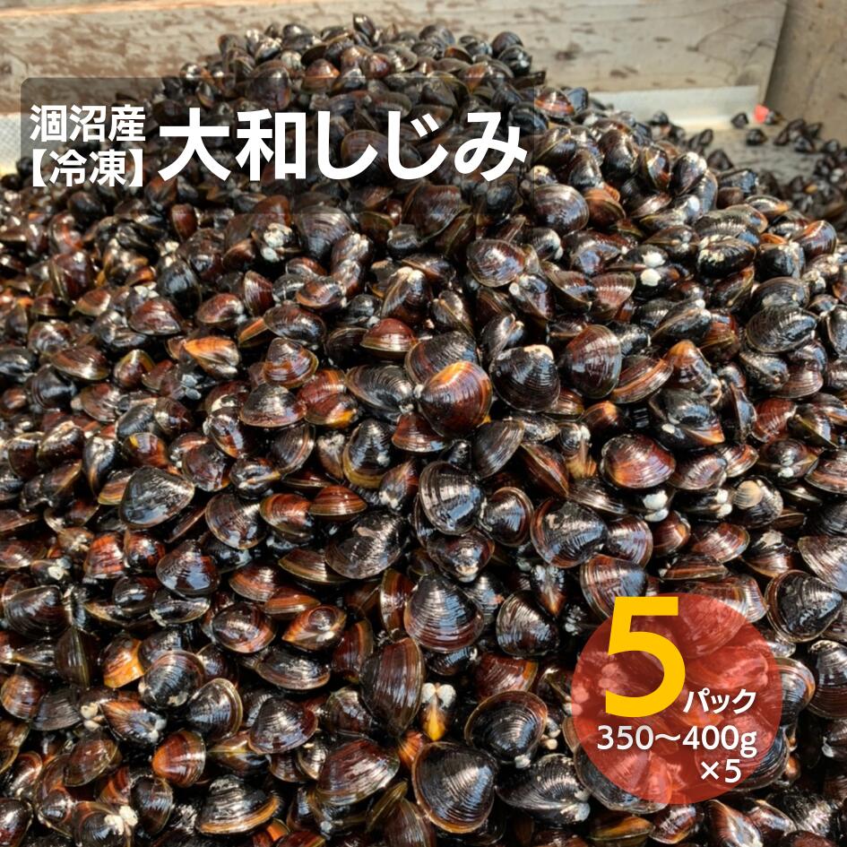 【ふるさと納税】 涸沼産大和しじみ（砂抜き済み）　5パック　