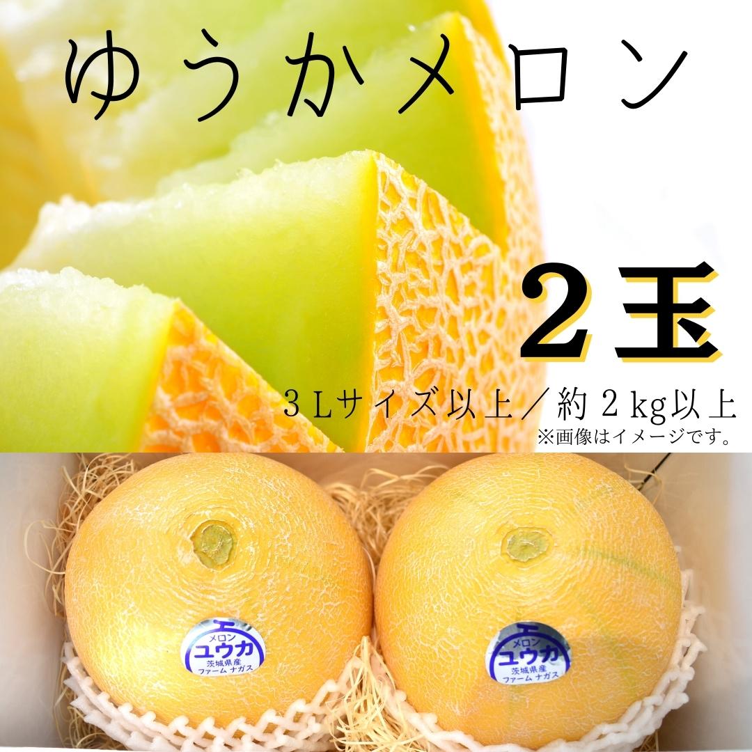 【ふるさと納税】希少！幻のメロン《2玉》「ゆうかメロン」1箱（約2kg以上）のサムネイル