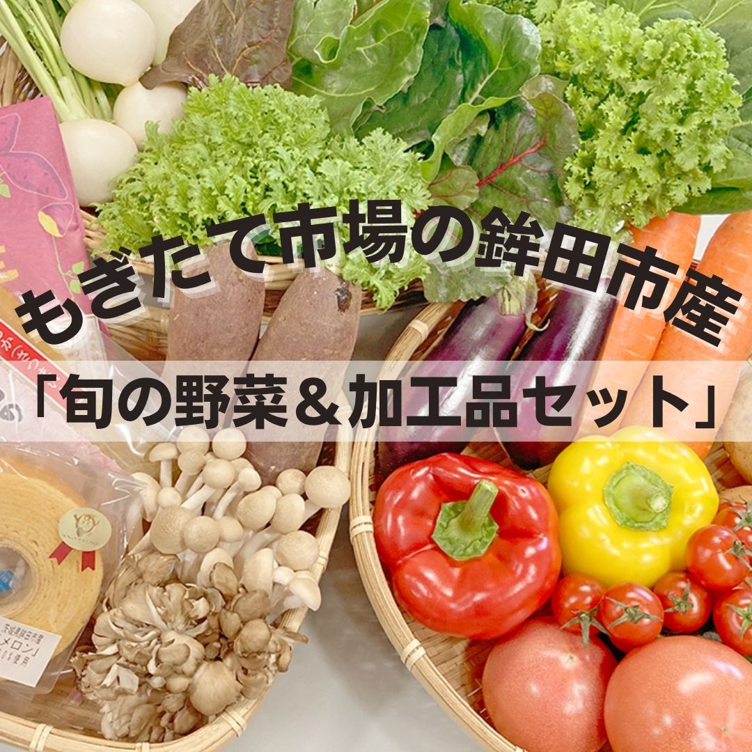 【ふるさと納税】旬の野菜8~10品目&加工品1~2品目セット