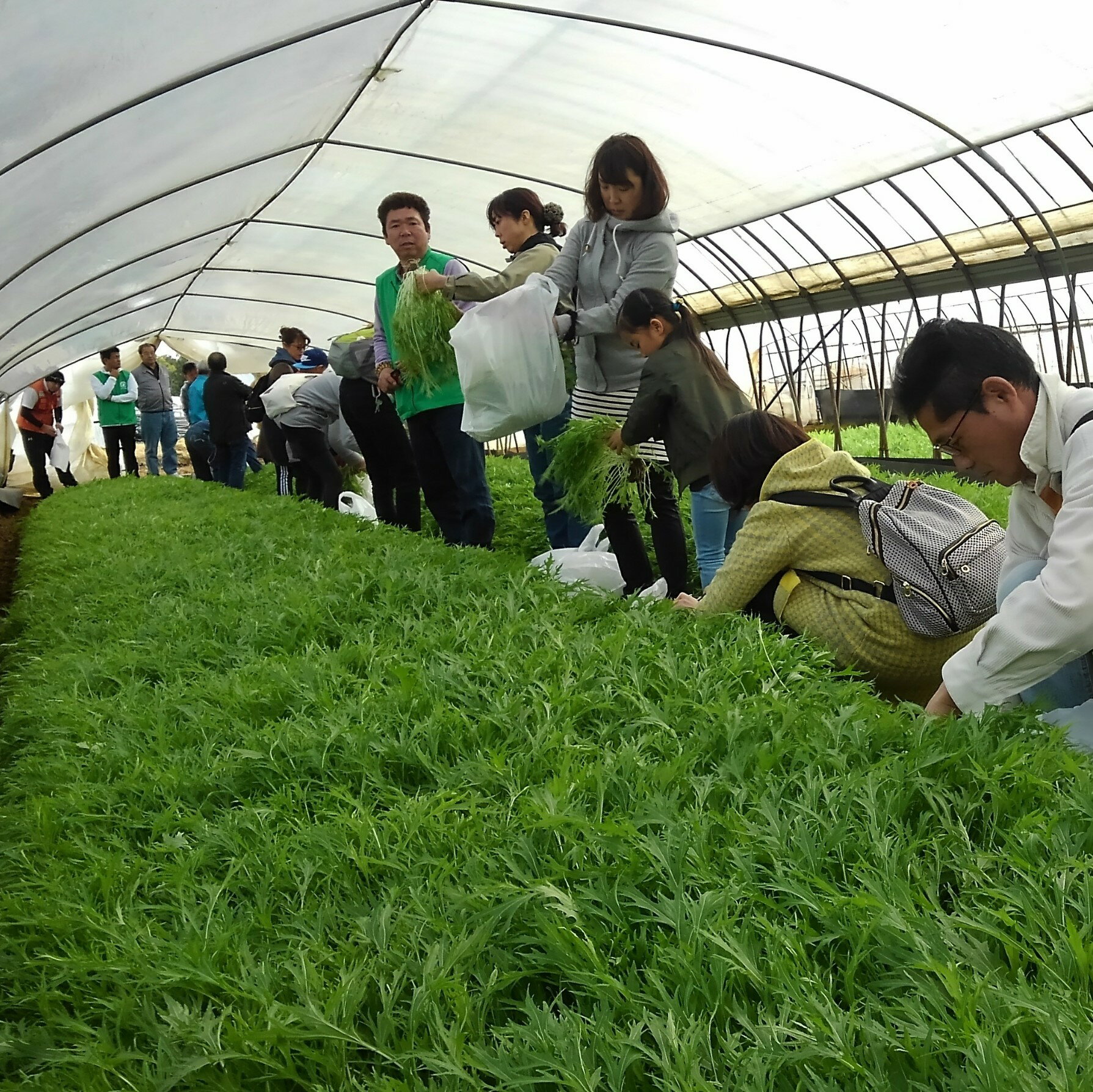 自然体験&民宿(ゲストハウス) 1棟貸切 1泊3名 茨城県産 鉾田市産 農業 海 川 アウトドア