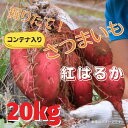 掘りたて！コンテナ入りさつまいも（紅はるか）　20kg