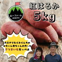 【ふるさと納税】紅はるか(5kg入り)1箱
