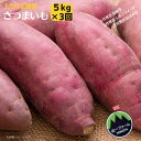 【ふるさと納税】【3ヶ月定期便】さつまいも 5kg×3回(1月安納芋・ 2月シルクスイート・ 3月紅はるか)