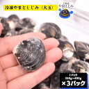 冷凍 やまとしじみ 大玉 3パック 1パック350g～400g