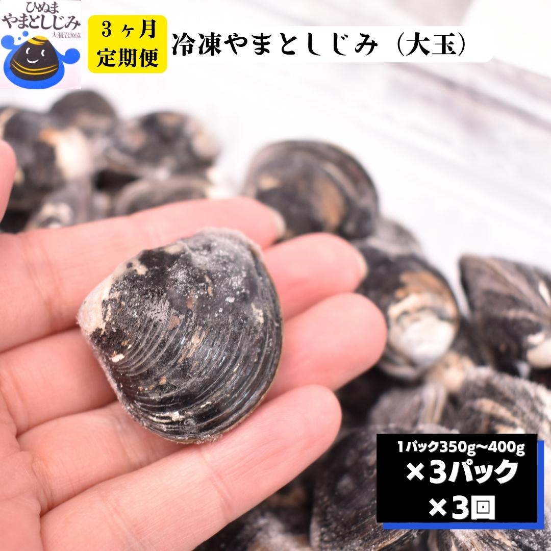 【ふるさと納税】 3ヶ月定期便 冷凍 やまとしじみ 大玉 3パック 1パック350g～400g 3回