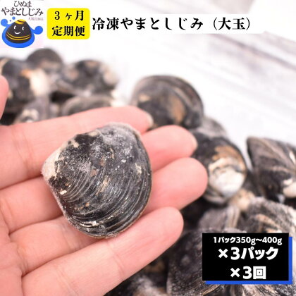 3ヶ月定期便 冷凍 やまとしじみ 大玉 3パック 1パック350g～400g 3回