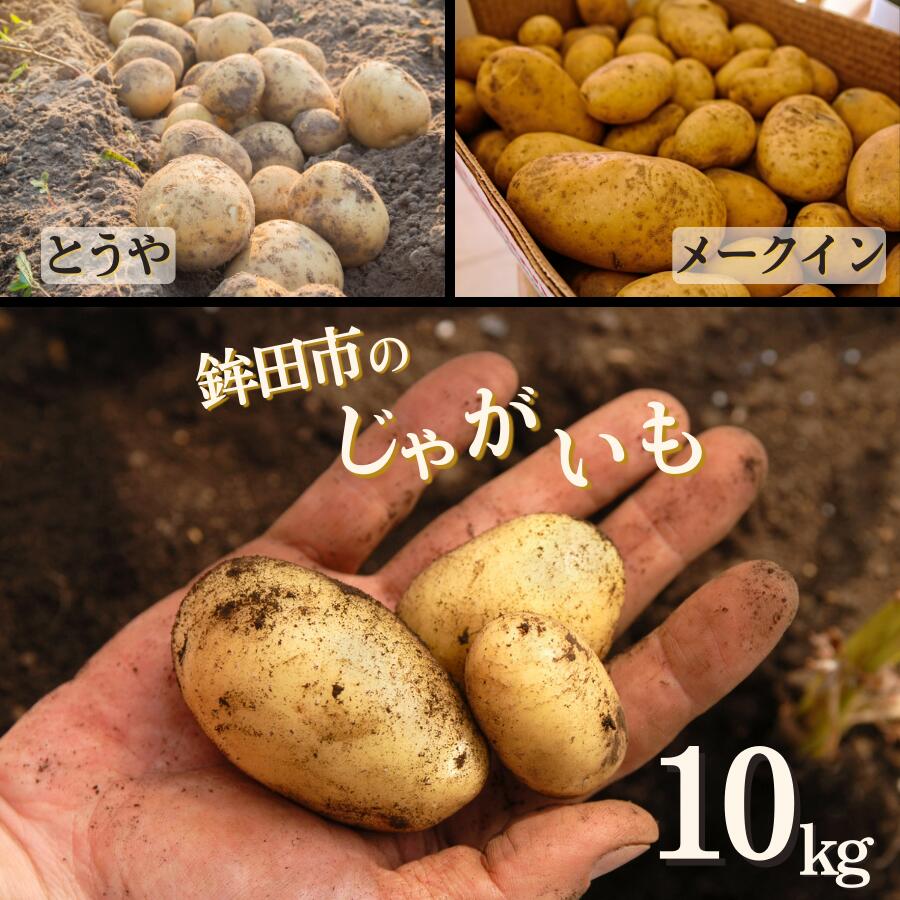 【ふるさと納税】【とうや／メークイン】 ＼選べる品種／じゃがいも 10kg