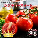 【ふるさと納税】春の中玉トマト「シンディースイート」バラ詰め／3kg