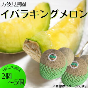 【ふるさと納税】 イバラキング メロン 茨城 鉾田 果物（1.2kg以上×2～5個） フルーツ 旬 大きい プレゼント 贈り物 甘い 緑肉 青肉