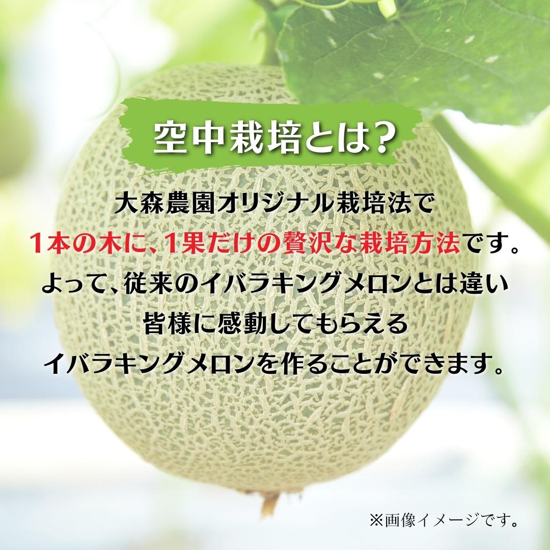 【ふるさと納税】【空中栽培】イバラキングメロン1玉（2.5kg以上）